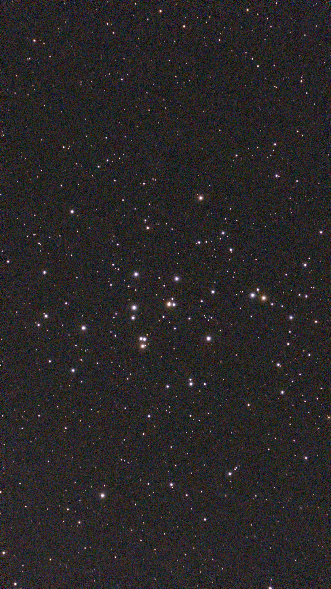 The Beehive Cluster photo